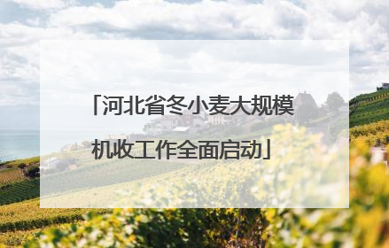 河北省冬小麦大规模机收工作全面启动